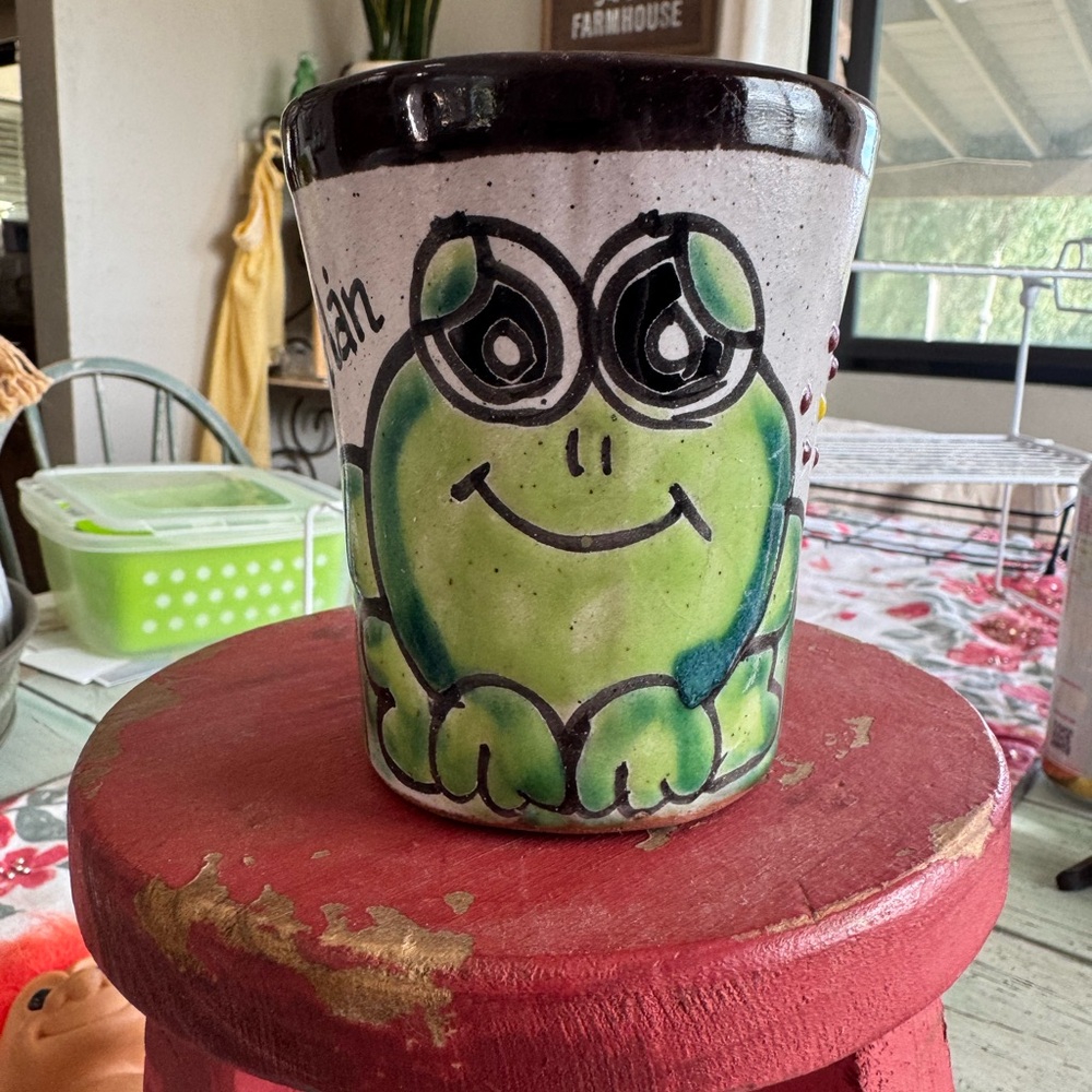Whimsical Green and Black Frog Mug from Mazatlan